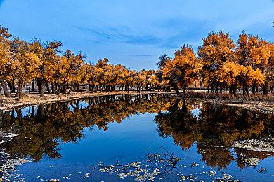 至美墨西哥，《极限竞速：地平线5》拍摄指南